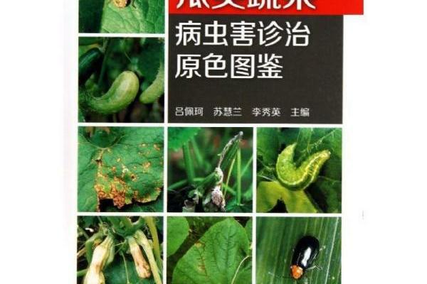 花生花期打甲维虫螨腈可以吗 豆田杀虫剂可打花生吗