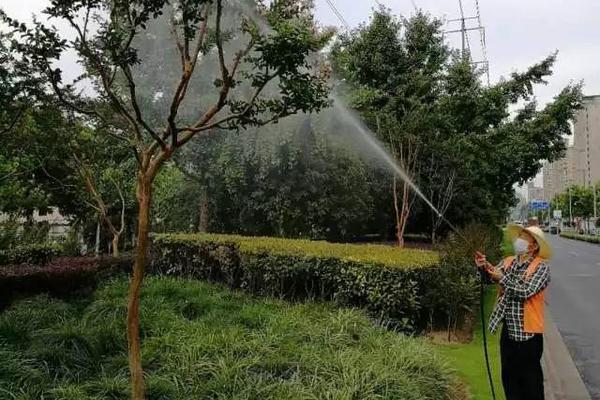 氯吡脲能在番茄上用吗
