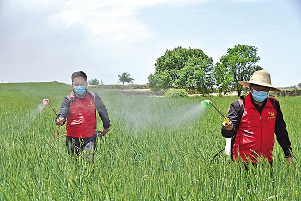 辛菌胺醋酸盐原药生产厂家 丙硫菌唑国内生产厂家排名