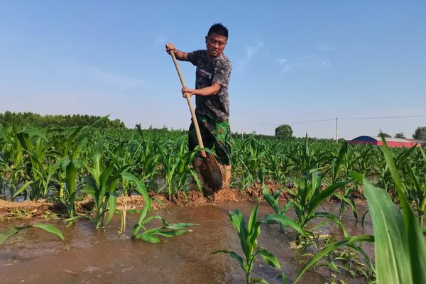 资阳农药杀菌剂：守护农作物健康的秘密武器