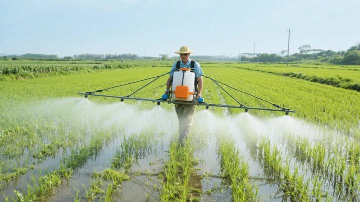茶园里的除草剂怎么施用