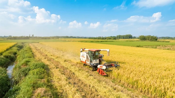 除草剂商品名除草霸道