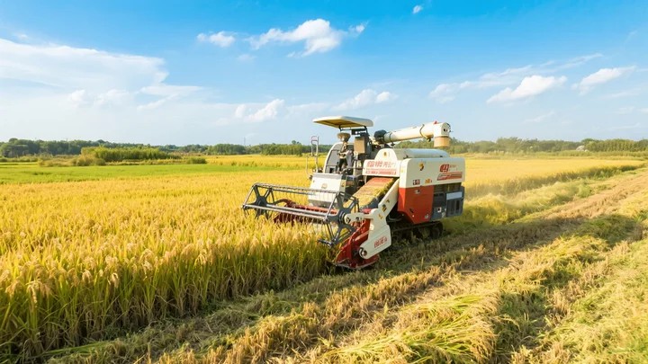 苯醚草甘膦多少钱一瓶 苯醚草甘膦混剂