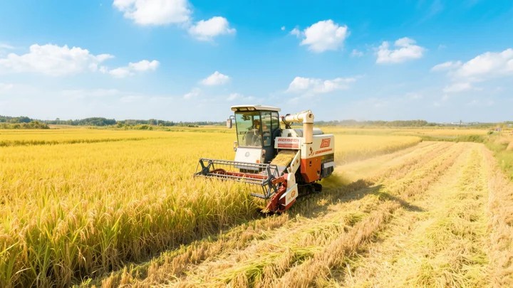 黄瓜蔓枯病和灰霉病的区别 黄瓜蔓枯病和灰霉病的区别是什么