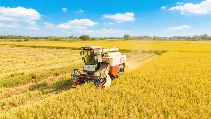 果树农药哪家好一点 果树农药专卖店京东