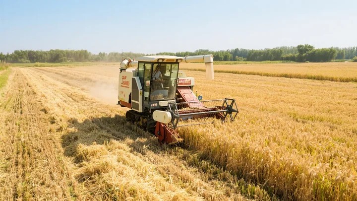 绿叶蔬菜用什么除草剂 绿叶蔬菜用什么除草剂好