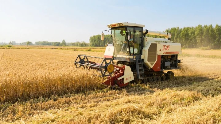 百菌清不能和什么药一起 百菌清能和什么药混用