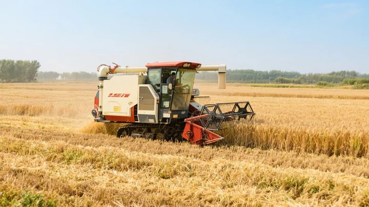 红艳农药火龙果打什么杀虫 红心火龙果打药