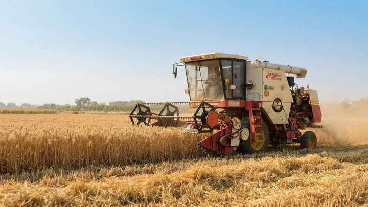 花生控旺不长怎么办