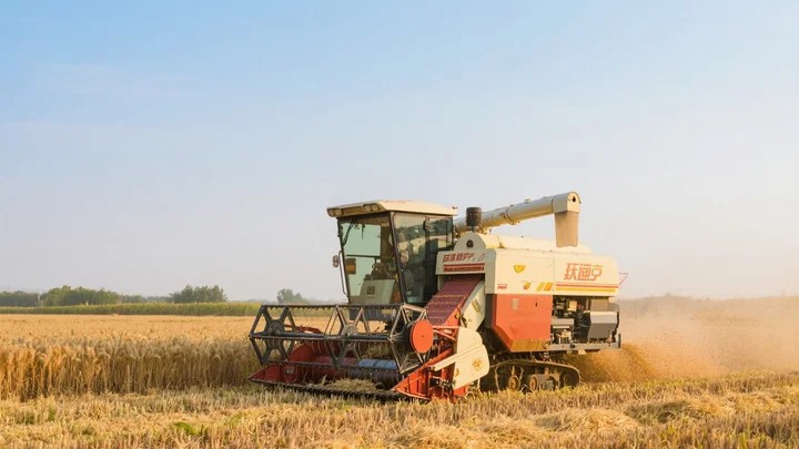 清洁蔬菜表面农药残留 清洁蔬菜表面农药残留怎么处理