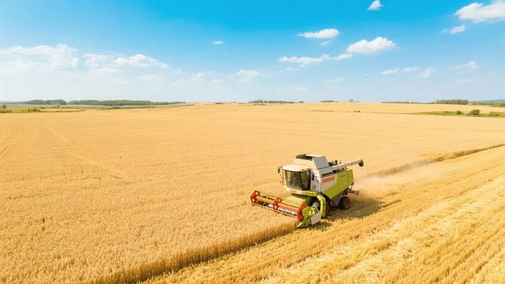 草甘膦专用除草剂有哪些