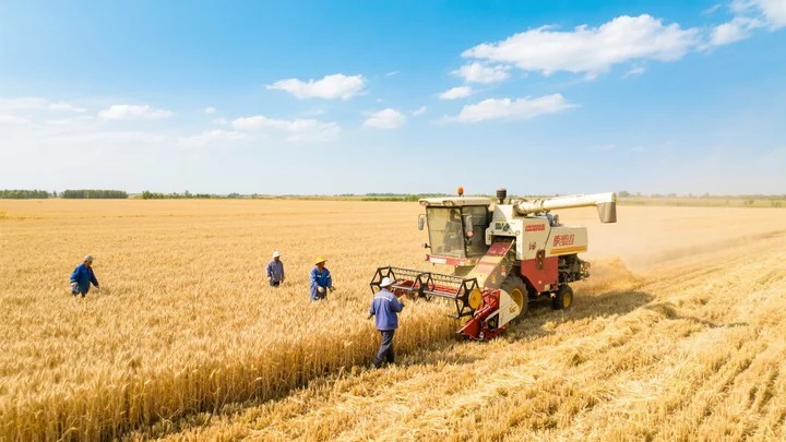 咋洗桔皮农药残留