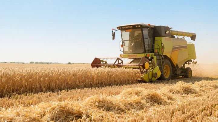 百菌清对根肿病 百菌清会伤根吗