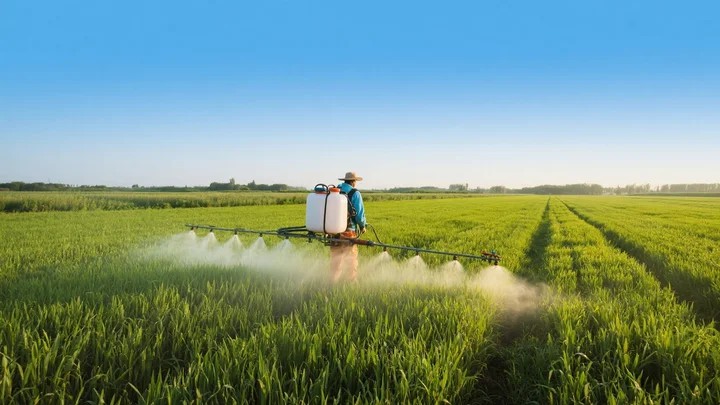 用什么洗葡萄能把农药洗掉呢