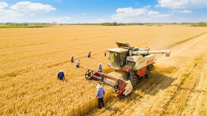 表面活性剂的HLB值是指