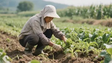 长期吃二甲双胍维格列汀片安全吗?十年用药实录揭秘