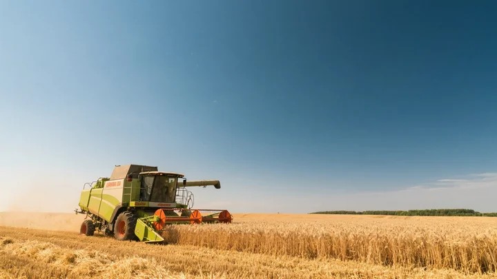 草甘膦除草剂对蔬菜有影响吗 草甘膦除草剂对蔬菜有影响吗