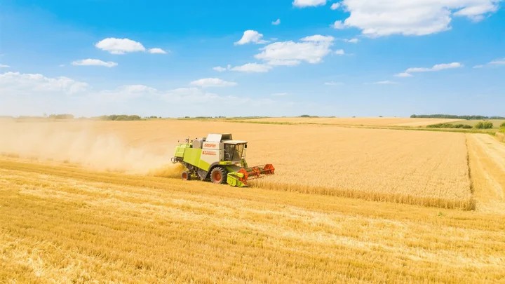 茶园农药打完机