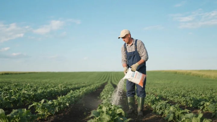 红万村吡虫啉 红万村吡虫啉质量好不好