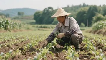 蓝莓多久喷一次百菌清药 蓝莓多久喷一次百菌清药水好