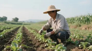 桃树能用苯醚甲环唑吗?果农必看的科学用药指南