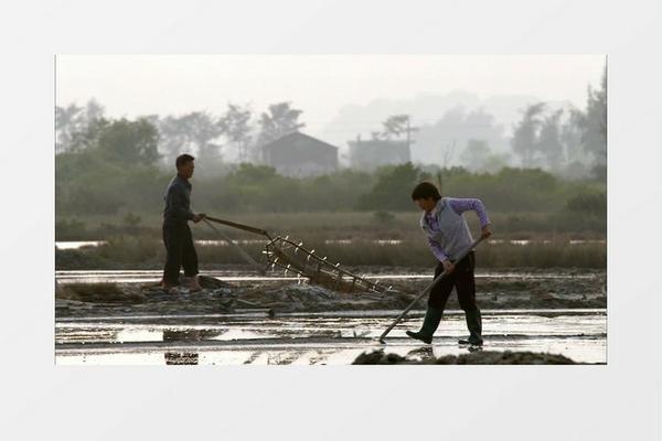 果树介壳虫用什么农药 果树介壳虫用什么农药能杀死