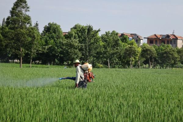 己唑醇苹果树 噻呋己唑醇功效与作用