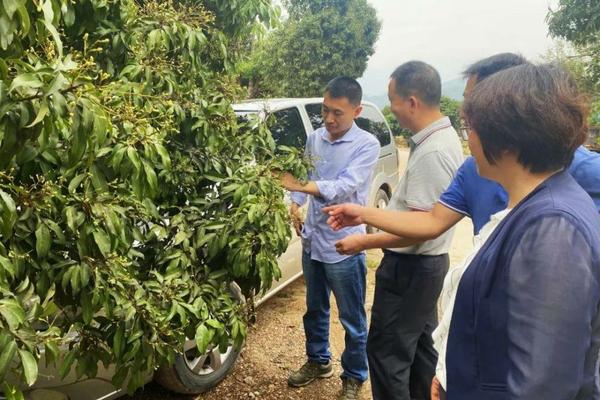 土培植物有哪些，土培植物有哪些？