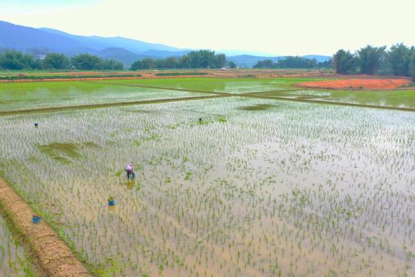 潘帕斯草原农业类型，农业类型和农业地域类型的区别
