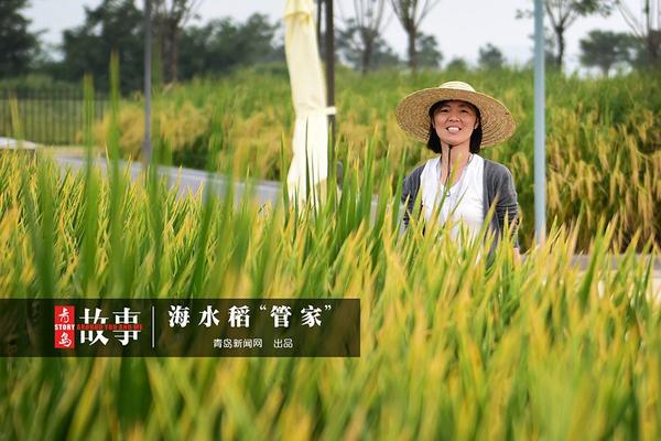腈菌唑对小麦纹枯病(预防小麦纹枯病什么药最有效)