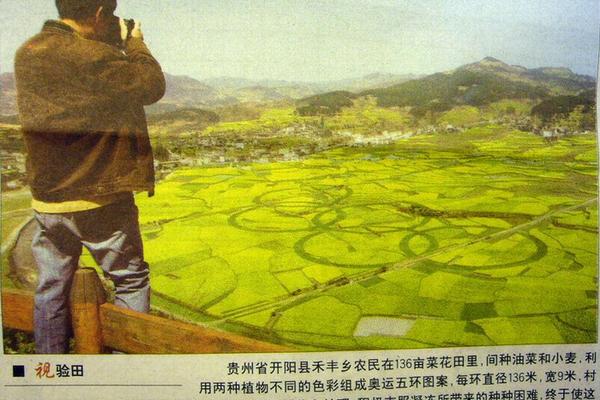 蔬菜种苗 铁岭益农.蔬菜种苗