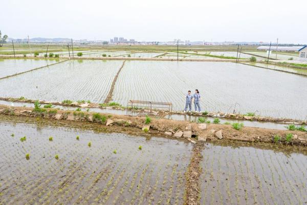 甲维虫螨腈打果树有药害吗 虫螨腈虱螨脲可以打西瓜吗