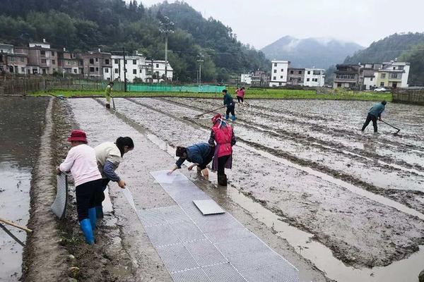 胡萝卜能打什么除草剂 胡萝卜能打什么除草剂好
