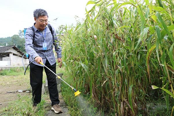 苦瓜的功效与作用吃苦瓜的禁忌事项