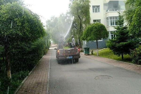 我国四大名花 我国四大名花是什么花